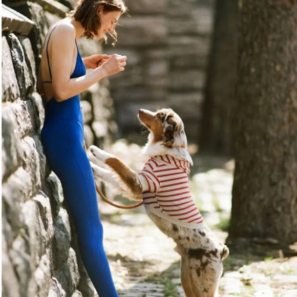 Zara Pants - Zara royal blue long onesie jumpsuit